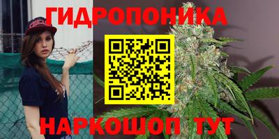 а пвп мука Будённовск