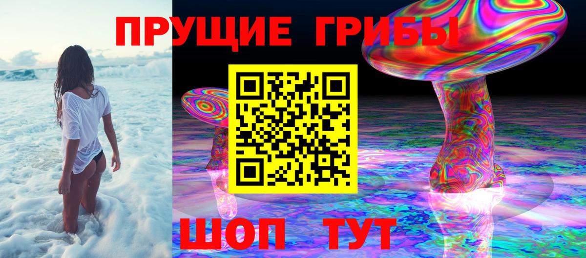 Галлюциногенные грибы мухоморы  Галлюциногенные грибы GOLDEN TEACHER  Вход с VPN  Торжок 