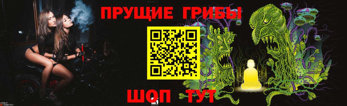 Псилоцибиновые грибы Psilocybine cubensis Торжок